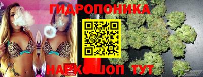 стаф Будённовск