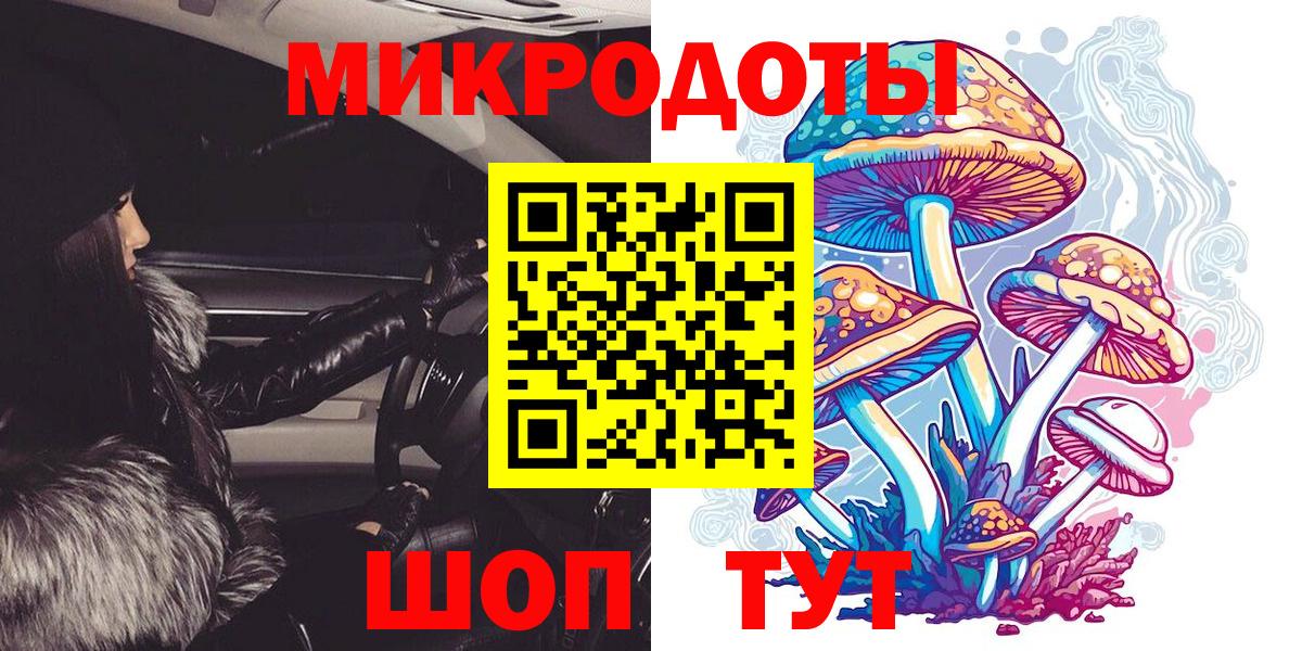 Псилоцибиновые грибы Psilocybine cubensis  Великий Устюг  Псилоцибиновые грибы Magic Shrooms 