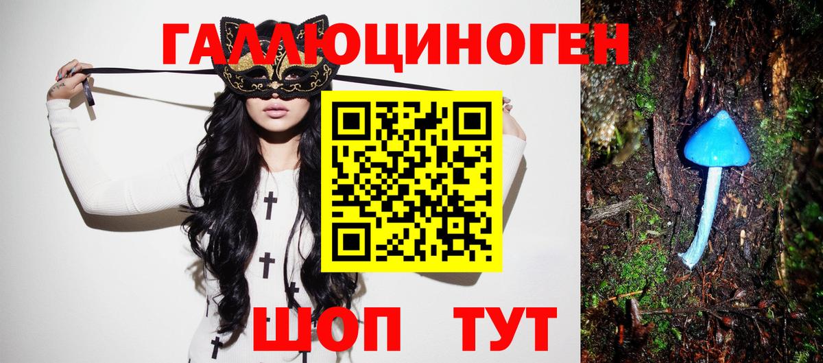 Галлюциногенные грибы MAGIC MUSHROOMS Великий Устюг