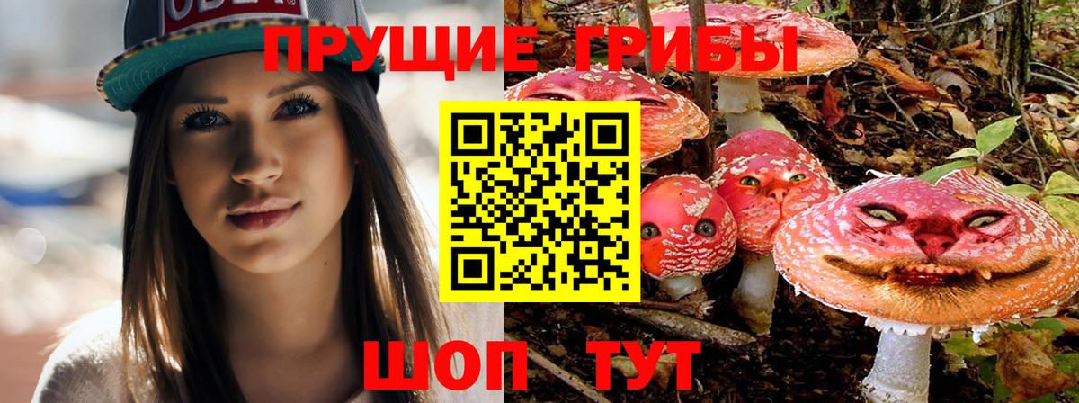 Псилоцибиновые грибы MAGIC MUSHROOMS Великий Устюг