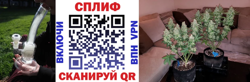 Конопля Ganja Великий Устюг