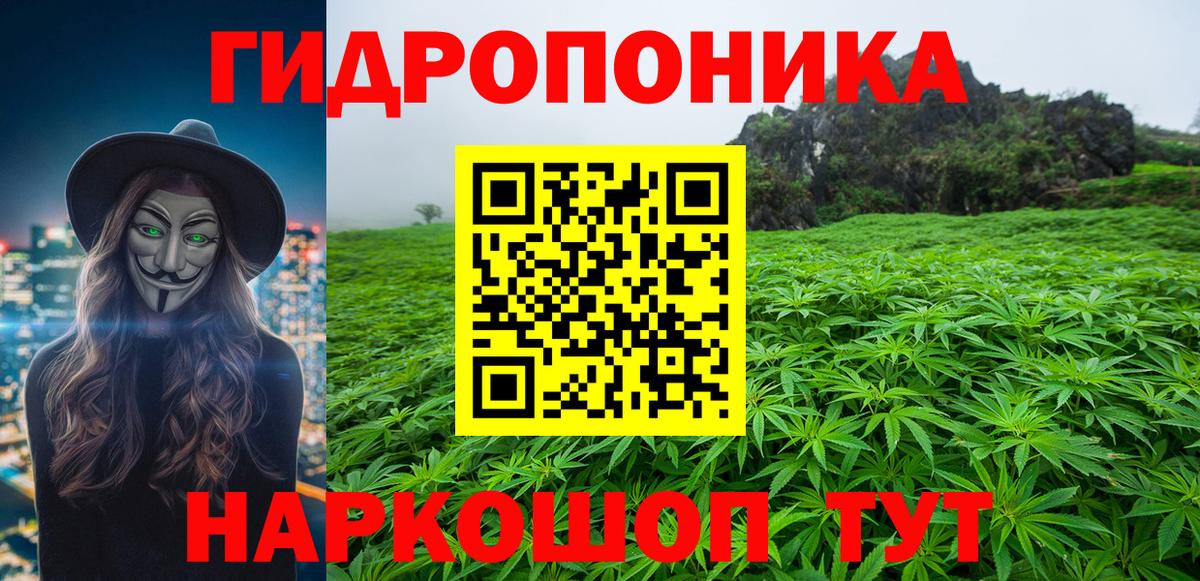 Конопля сатива  МАРИХУАНА семена  Марихуана марихуана  Великий Устюг  Вход с VPN 